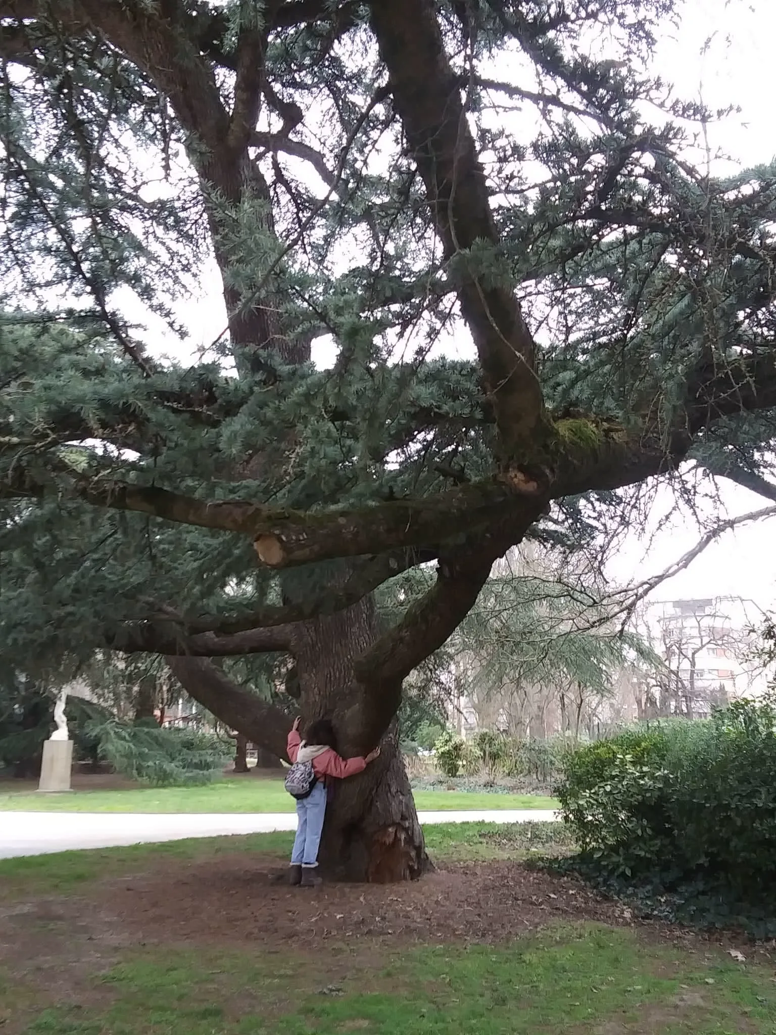 Celeste en la naturaleza